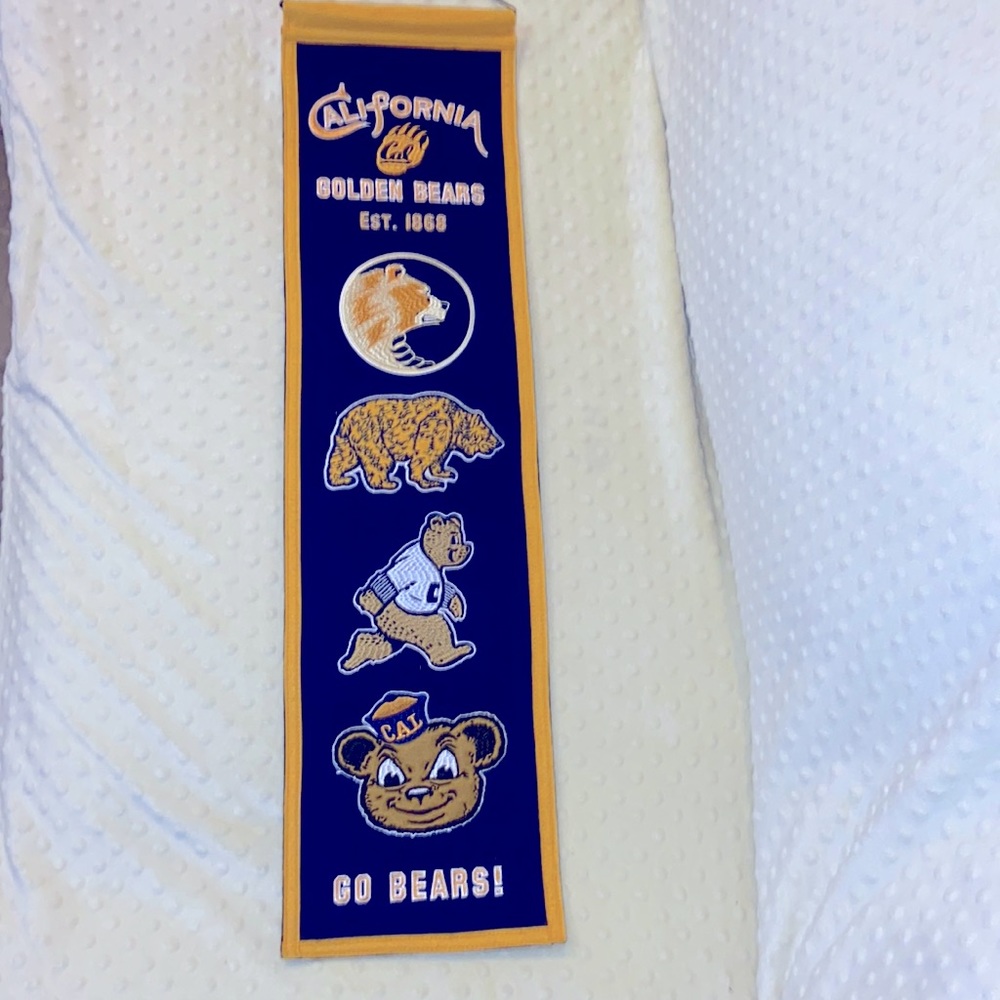California Golden Bears team history